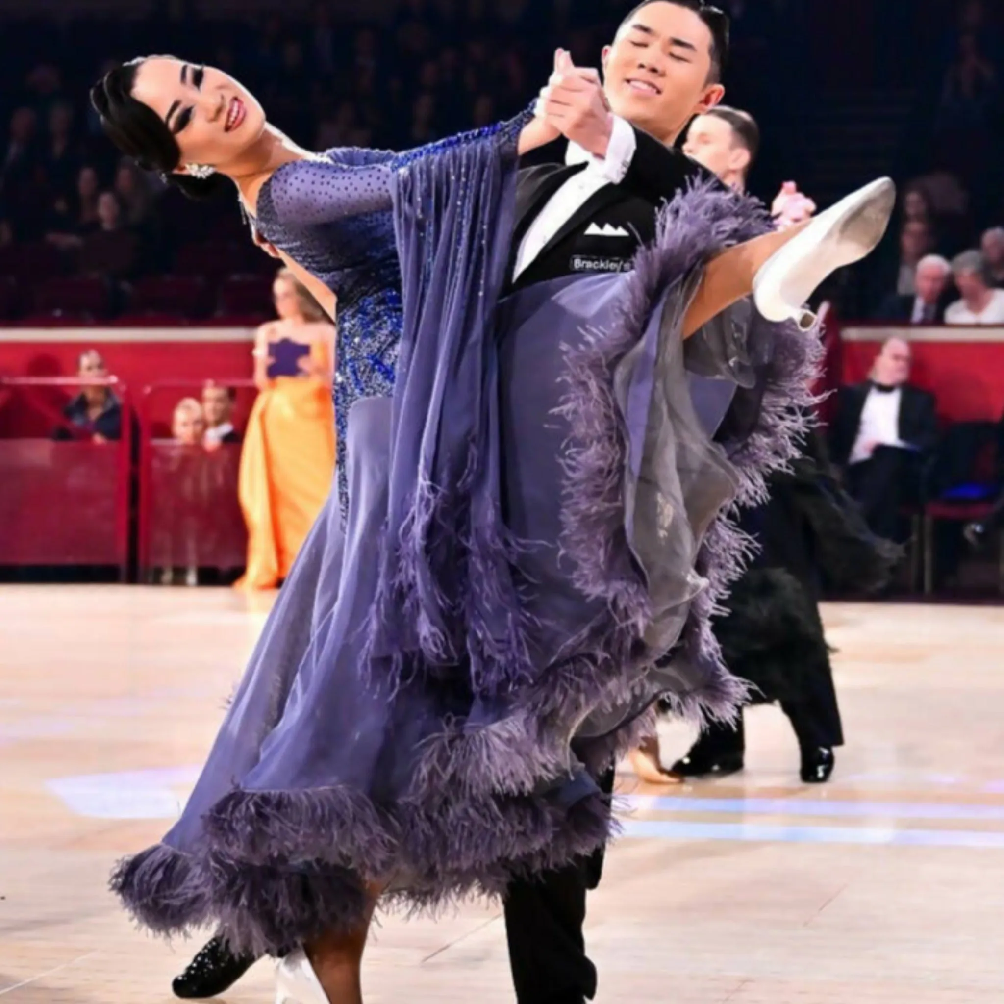 Grey Standard Dress with Feathers