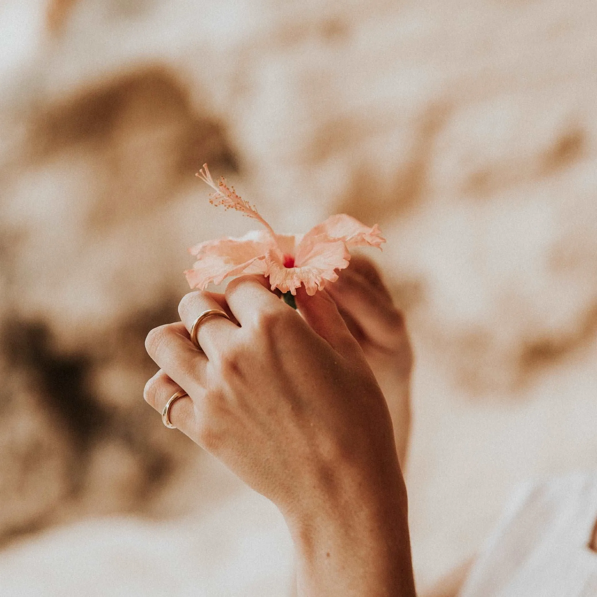 Low Tide ring // 14k gold